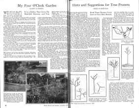 Better Homes & Gardens February 1926 Magazine Article: Page 20
