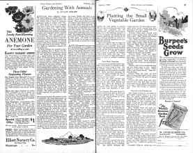 Better Homes & Gardens February 1926 Magazine Article: Page 34