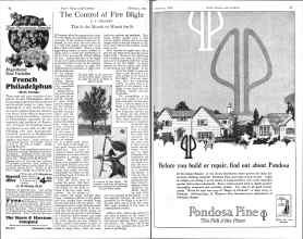 Better Homes & Gardens February 1926 Magazine Article: Page 42