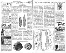 Better Homes & Gardens February 1926 Magazine Article: Page 88