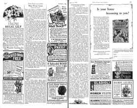 Better Homes & Gardens February 1926 Magazine Article: Page 114