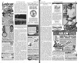 Better Homes & Gardens February 1926 Magazine Article: Page 116