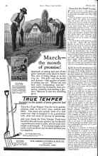 Better Homes & Gardens March 1926 Magazine Article: Roses for the Small Garden