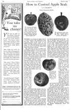 Better Homes & Gardens March 1926 Magazine Article: How to Control Apple Scab