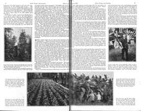 Better Homes & Gardens March 1926 Magazine Article: Page 6