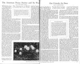 Better Homes & Gardens March 1926 Magazine Article: Page 16