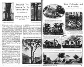 Better Homes & Gardens March 1926 Magazine Article: Page 18
