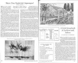 Better Homes & Gardens March 1926 Magazine Article: Page 20