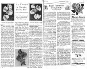Better Homes & Gardens March 1926 Magazine Article: Page 34