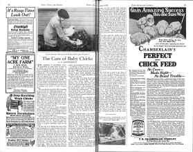 Better Homes & Gardens March 1926 Magazine Article: The Care of Baby Chicks