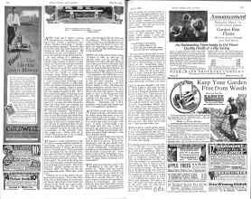 Better Homes & Gardens March 1926 Magazine Article: Along the Garden Path