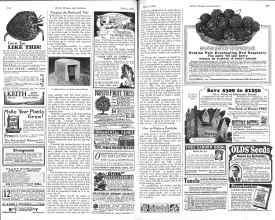 Better Homes & Gardens March 1926 Magazine Article: Keeping the Backyard Tidy