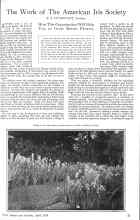 Better Homes & Gardens April 1926 Magazine Article: The Work of The American Iris Society