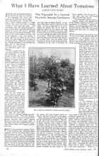 Better Homes & Gardens April 1926 Magazine Article: What I Have Learned About Tomatoes