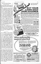 Better Homes & Gardens April 1926 Magazine Article: A Bit of White in the Garden