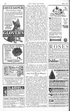 Better Homes & Gardens April 1926 Magazine Article: Points for the Bean Patch