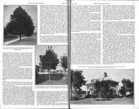 Better Homes & Gardens April 1926 Magazine Article: Page 6