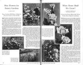 Better Homes & Gardens April 1926 Magazine Article: Page 12