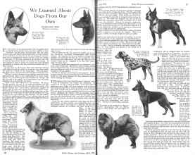 Better Homes & Gardens April 1926 Magazine Article: We Learned About Dogs From Our Own