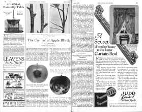 Better Homes & Gardens April 1926 Magazine Article: The Control of Apple Blotch