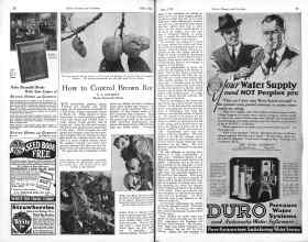 Better Homes & Gardens April 1926 Magazine Article: How to Control Brown Rot