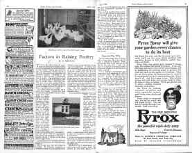 Better Homes & Gardens April 1926 Magazine Article: Factors in Raising Poultry