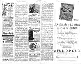 Better Homes & Gardens April 1926 Magazine Article: The Growing of Forget-me-nots