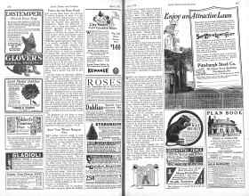 Better Homes & Gardens April 1926 Magazine Article: Start Your Winter Bouquet Now