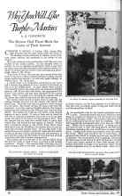 Better Homes & Gardens May 1926 Magazine Article: Why You Will Like Purple Martins