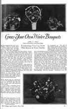 Better Homes & Gardens May 1926 Magazine Article: Grow Your Own Winter Bouquets