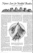 Better Homes & Gardens May 1926 Magazine Article: Nature Lore for Youthful Headers