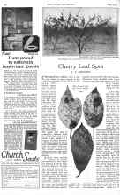 Better Homes & Gardens May 1926 Magazine Article: Cherry Leaf Spot