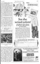 Better Homes & Gardens May 1926 Magazine Article: The Veronica, Queen of Perennials