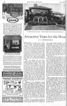 Better Homes & Gardens May 1926 Magazine Article: Attractive Vines for the Home