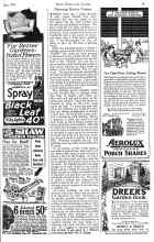 Better Homes & Gardens May 1926 Magazine Article: Growing Better Onions