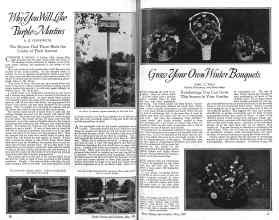 Better Homes & Gardens May 1926 Magazine Article: Page 10