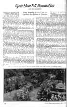 Better Homes & Gardens June 1926 Magazine Article: Grow More Tall Bearded Iris