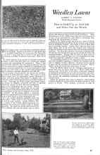 Better Homes & Gardens June 1926 Magazine Article: Weedless Lawns