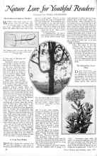 Better Homes & Gardens June 1926 Magazine Article: Nature Lore for Youthful Readers