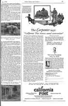 Better Homes & Gardens June 1926 Magazine Article: MY EXPERIENCES WITH TOM TOMATO