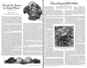 Better Homes & Gardens June 1926 Magazine Article: Page 8