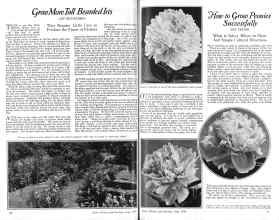 Better Homes & Gardens June 1926 Magazine Article: Page 12