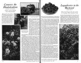 Better Homes & Gardens June 1926 Magazine Article: Page 16