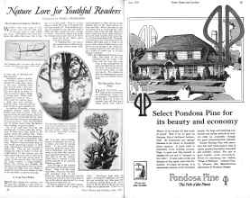 Better Homes & Gardens June 1926 Magazine Article: Page 24