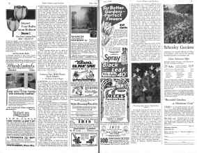 Better Homes & Gardens June 1926 Magazine Article: Learn a New Wild Flower Each Month