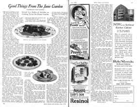 Better Homes & Gardens June 1926 Magazine Article: Good Things From The June Garden
