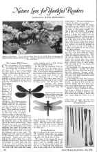 Better Homes & Gardens July 1926 Magazine Article: Nature Love for Youthful Readers