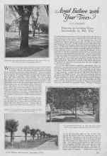 Better Homes & Gardens September 1926 Magazine Article: Avoid Failure With Your Tress