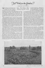 Better Homes & Gardens September 1926 Magazine Article: Fall Work in the Garden