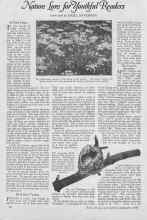 Better Homes & Gardens September 1926 Magazine Article: Nature Lore for Mouthful Readers